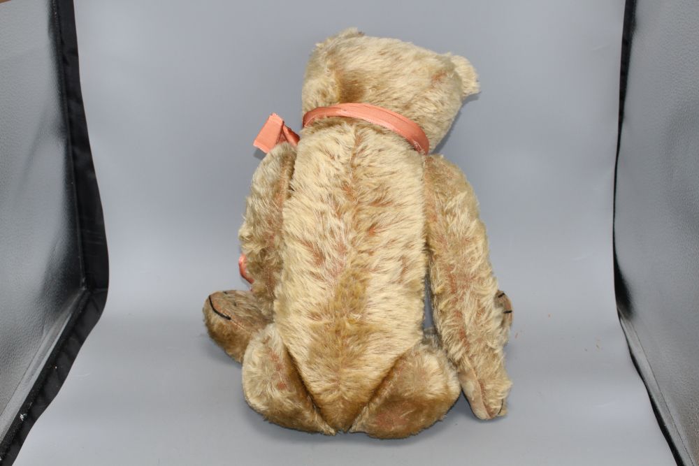 An unusual early bear, c.1920, 24in., button eyes, repairs of paw pads, some hair loss